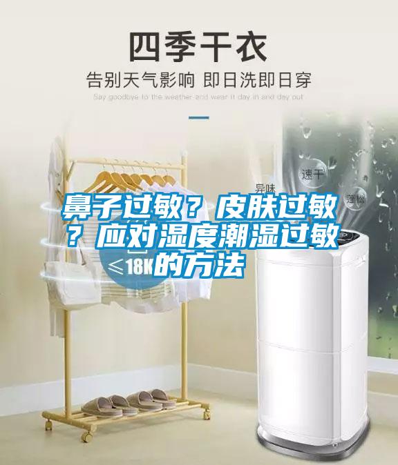 鼻子过敏？皮肤过敏？应对湿度潮湿过敏的方法