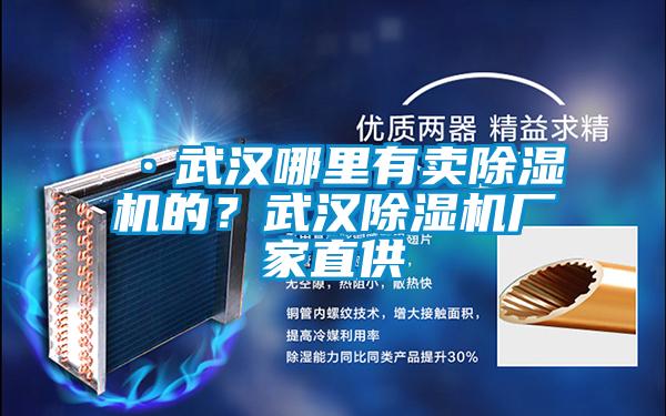 ·武汉哪里有卖麻豆视频黄网站的？武汉麻豆视频黄网站厂家直供