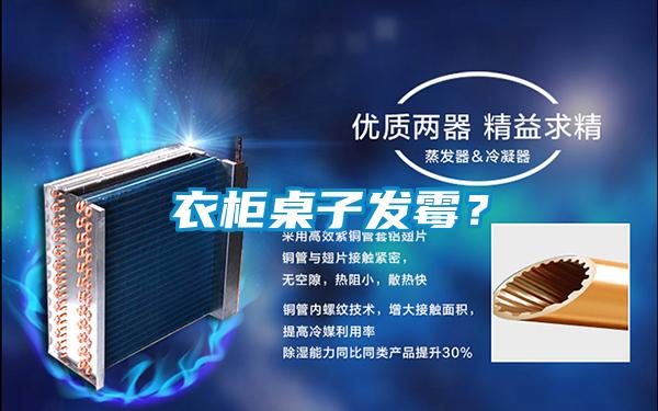 衣柜桌子发霉？
