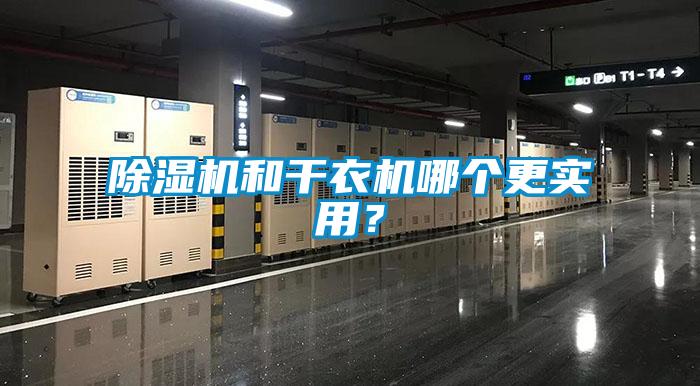 麻豆视频黄网站和干衣机哪个更实用？