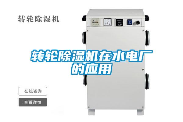转轮麻豆视频黄网站在水电厂的应用
