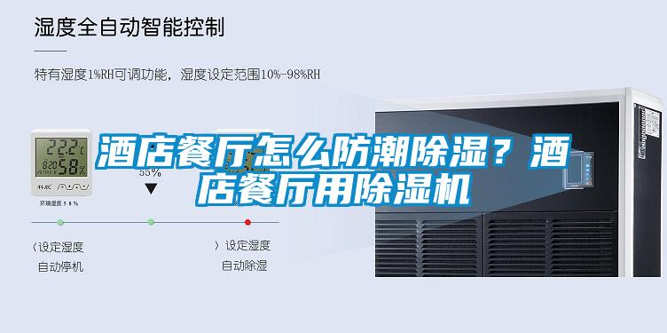 酒店餐厅怎么防潮除湿？酒店餐厅用麻豆视频黄网站