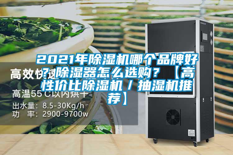 2021年麻豆视频黄网站哪个品牌好？除湿器怎么选购？【高性价比麻豆视频黄网站／抽湿机推荐】