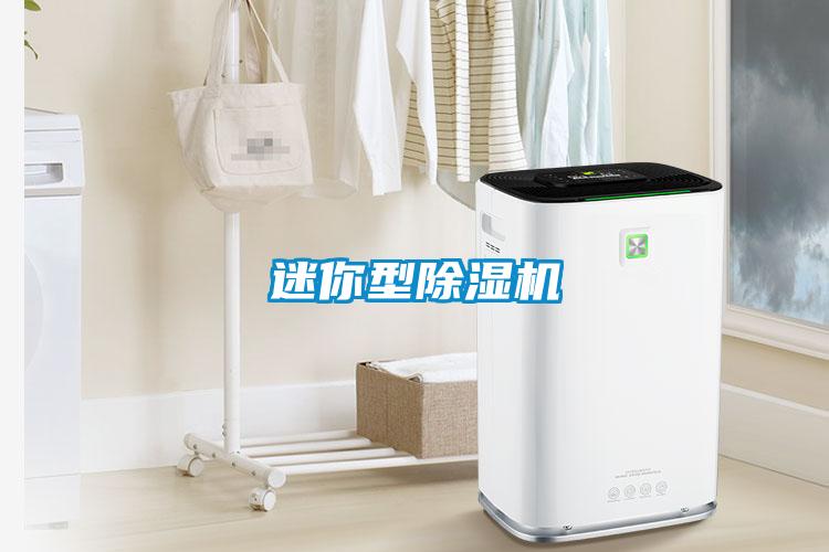 迷你型麻豆视频黄网站