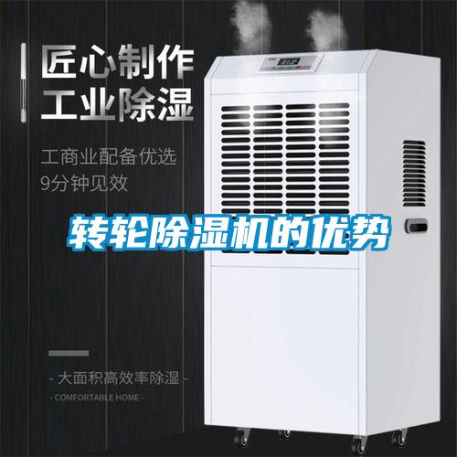转轮麻豆视频黄网站的优势
