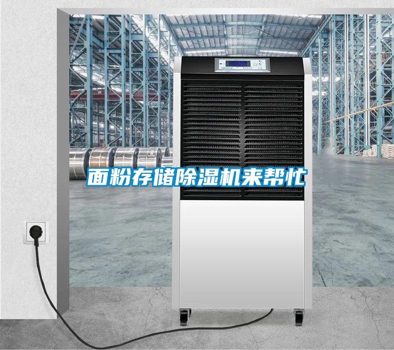 面粉存储麻豆视频黄网站来帮忙