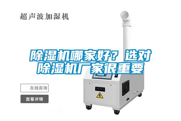 麻豆视频黄网站哪家好？选对麻豆视频黄网站厂家很重要