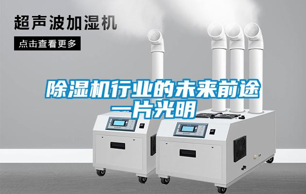 麻豆视频黄网站行业的未来前途一片光明
