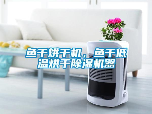 鱼干烘干机，鱼干低温烘干麻豆视频黄网站器