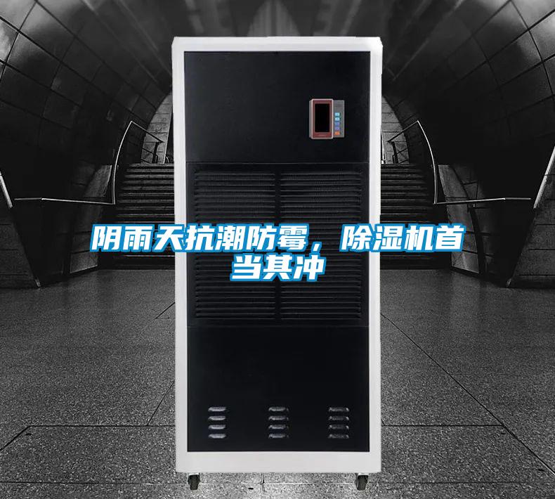 阴雨天抗潮防霉，麻豆视频黄网站首当其冲