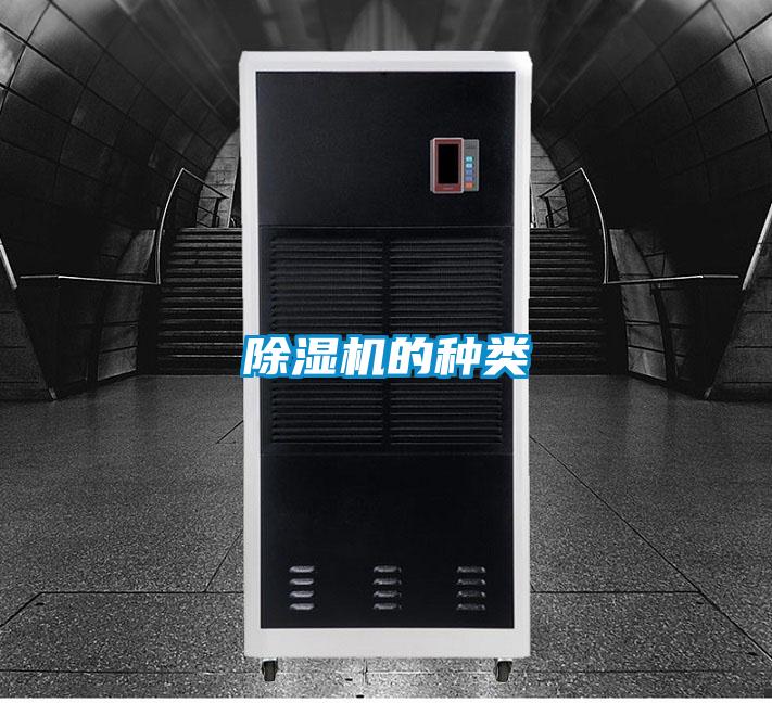 麻豆视频黄网站的种类