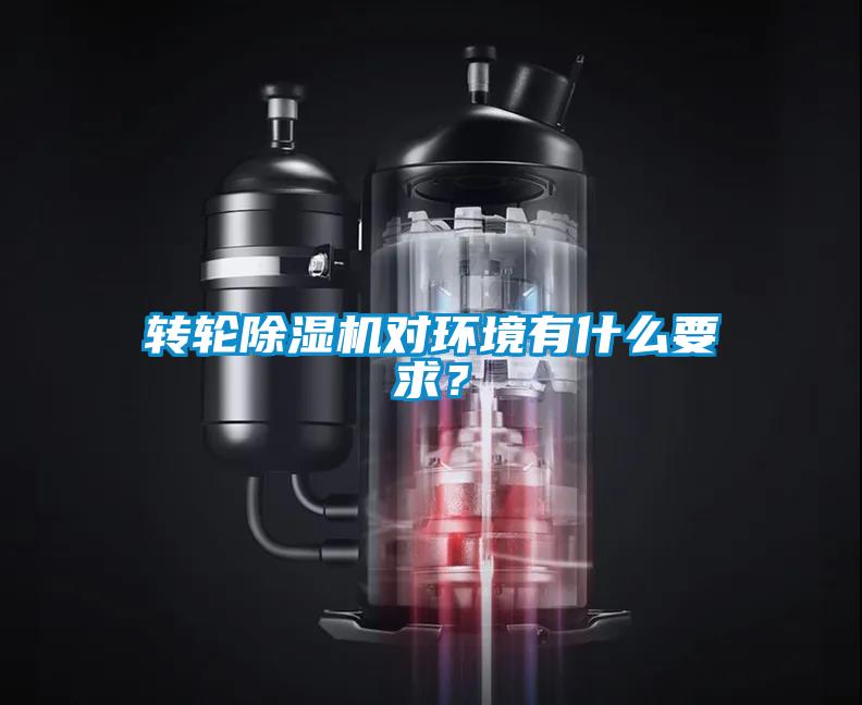 转轮麻豆视频黄网站对环境有什么要求？