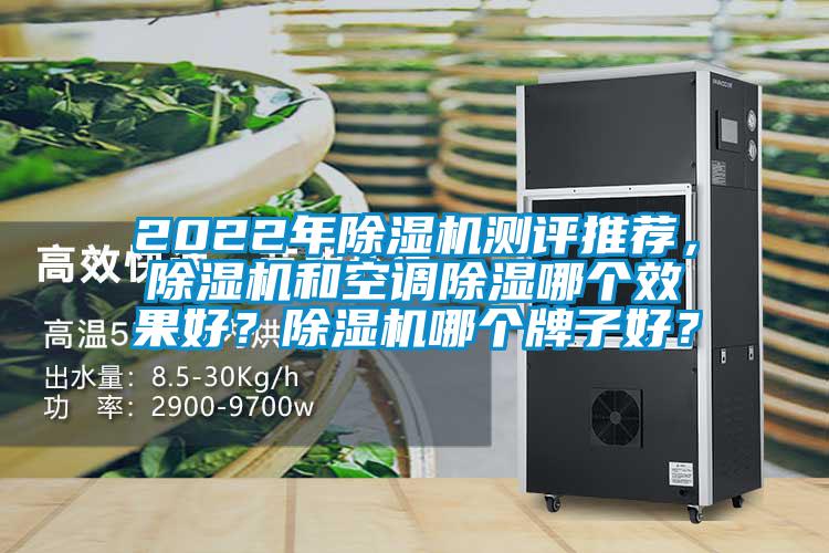 2022年麻豆视频黄网站测评推荐，麻豆视频黄网站和空调除湿哪个效果好？麻豆视频黄网站哪个牌子好？
