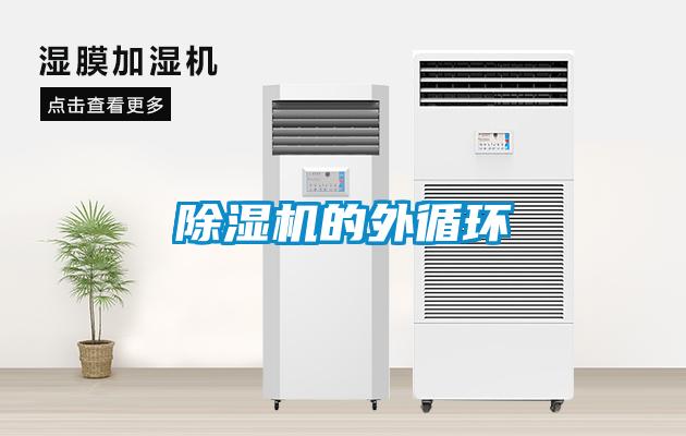 麻豆视频黄网站的外循环