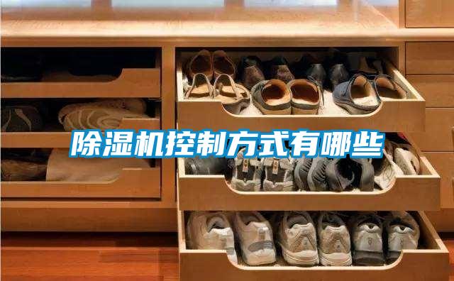 麻豆视频黄网站控制方式有哪些