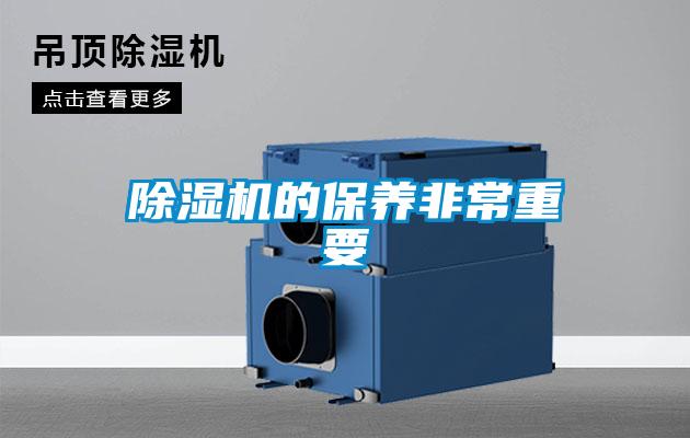 麻豆视频黄网站的保养非常重要