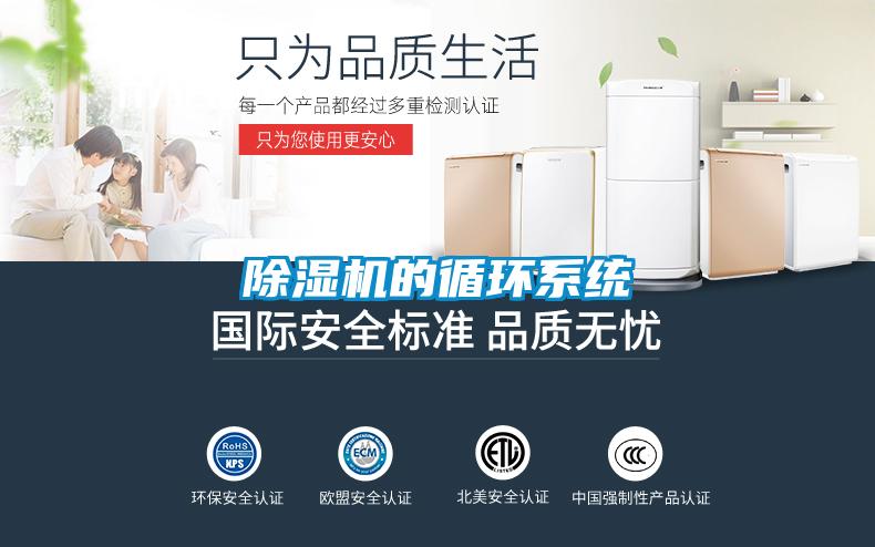 麻豆视频黄网站的循环系统