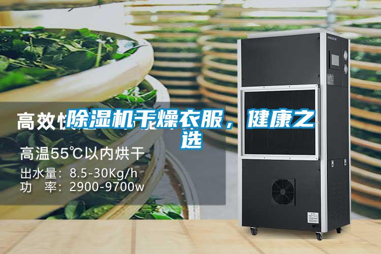 麻豆视频黄网站干燥衣服，健康之选