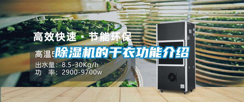 麻豆视频黄网站的干衣功能介绍