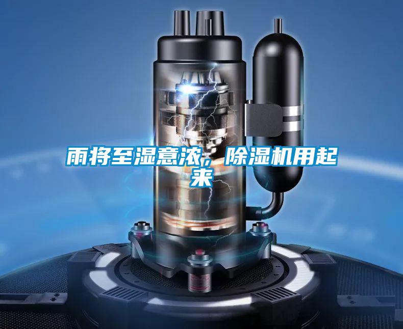 雨将至湿意浓，麻豆视频黄网站用起来