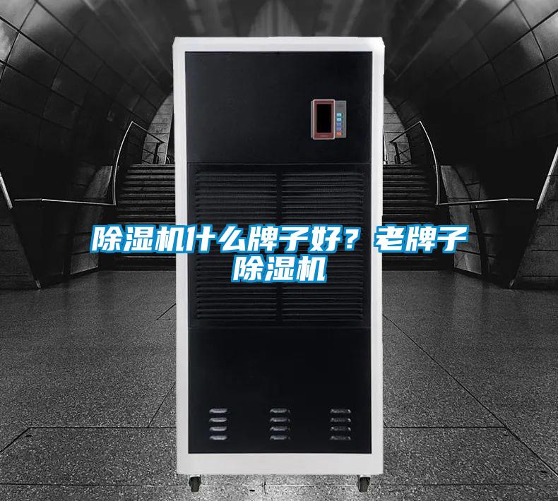 麻豆视频黄网站什么牌子好？老牌子麻豆视频黄网站