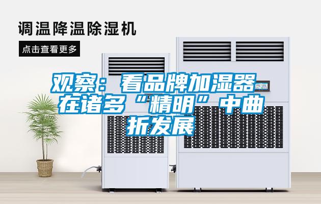 观察：看品牌加湿器 在诸多“精明”中曲折发展
