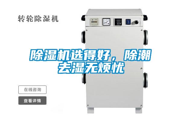 麻豆视频黄网站选得好，除潮去湿无烦忧