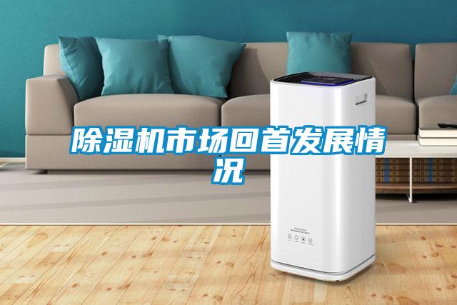麻豆视频黄网站市场回首发展情况
