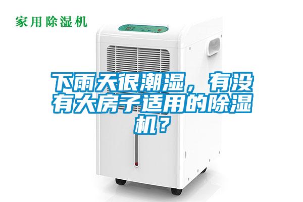 下雨天很潮湿，有没有大房子适用的麻豆视频黄网站？