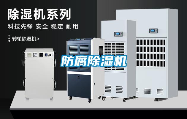 防腐麻豆视频黄网站