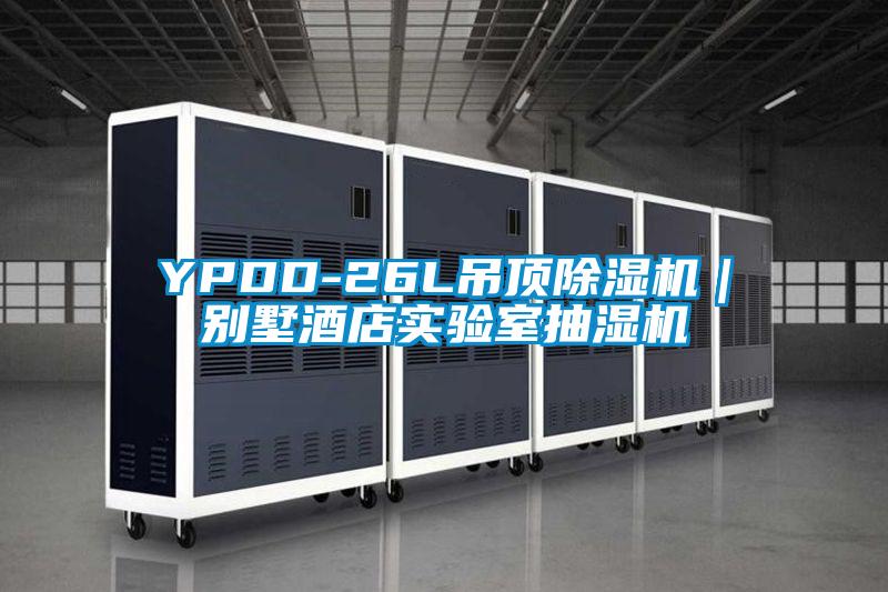 YPDD-26L吊顶麻豆视频黄网站｜别墅酒店实验室抽湿机