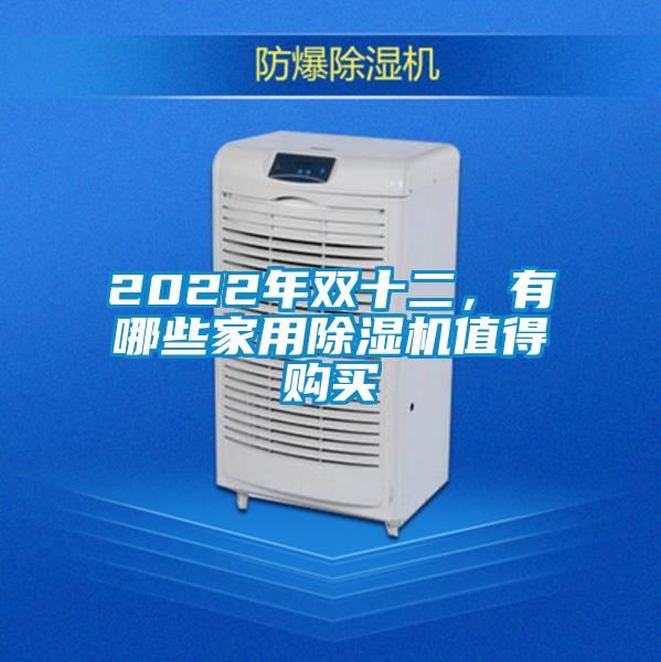 2022年双十二，有哪些家用麻豆视频黄网站值得购买