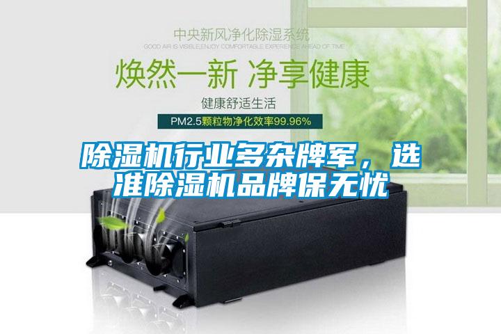 麻豆视频黄网站行业多杂牌军，选准麻豆视频黄网站品牌保无忧