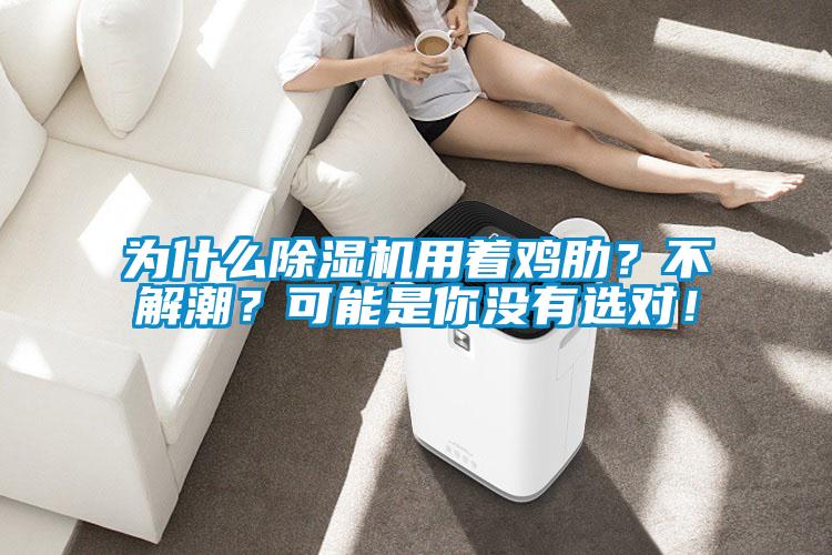 为什么麻豆视频黄网站用着鸡肋？不解潮？可能是你没有选对！