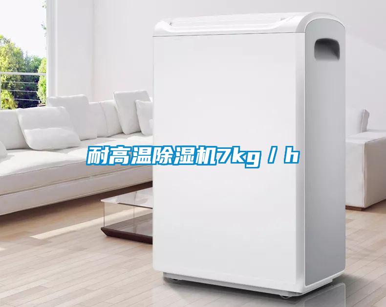 耐高温麻豆视频黄网站7kg／h