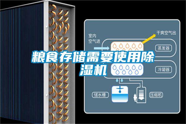 粮食存储需要使用麻豆视频黄网站