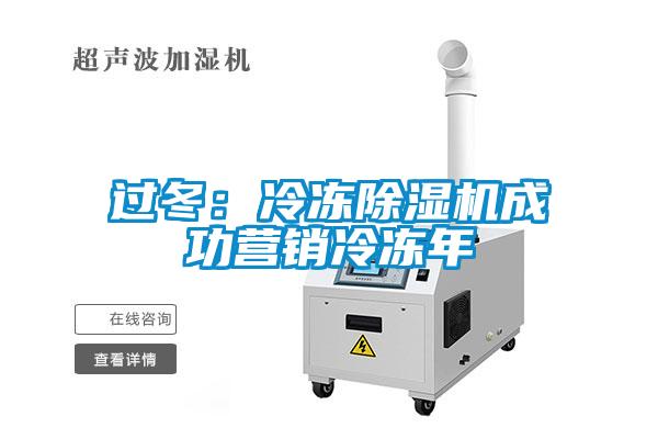 过冬：冷冻麻豆视频黄网站成功营销冷冻年