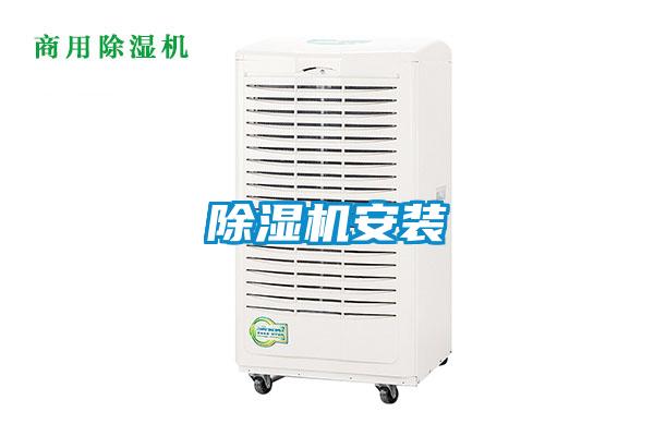 麻豆视频黄网站安装