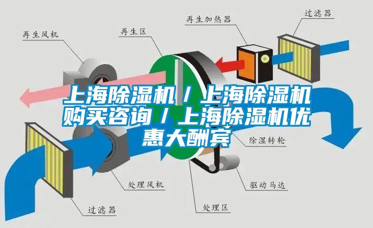 上海麻豆视频黄网站／上海麻豆视频黄网站购买咨询／上海麻豆视频黄网站优惠大酬宾