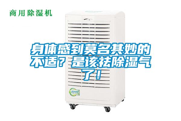 身体感到莫名其妙的不适？是该祛除湿气了！