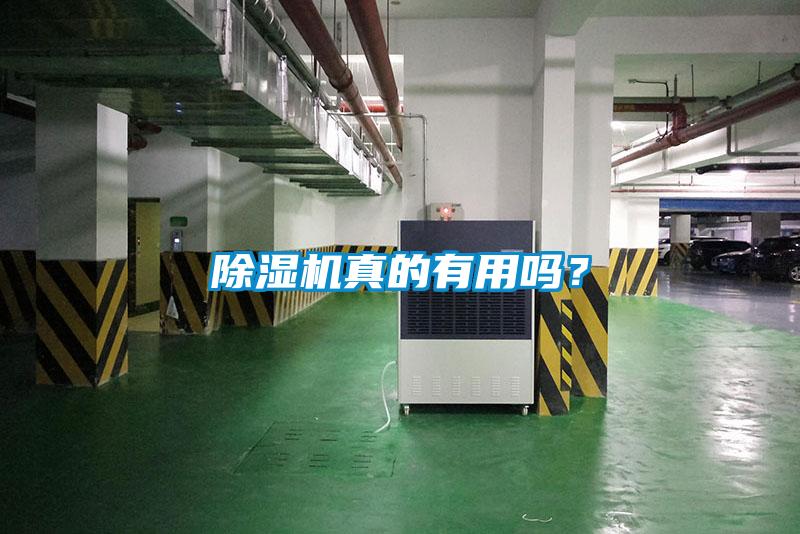 麻豆视频黄网站真的有用吗？