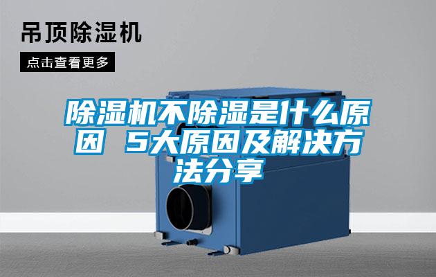 麻豆视频黄网站不除湿是什么原因 5大原因及解决方法分享