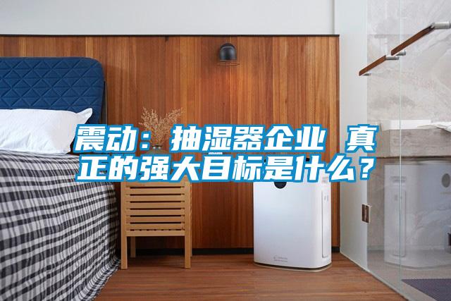 震动：抽湿器企业 真正的强大目标是什么？