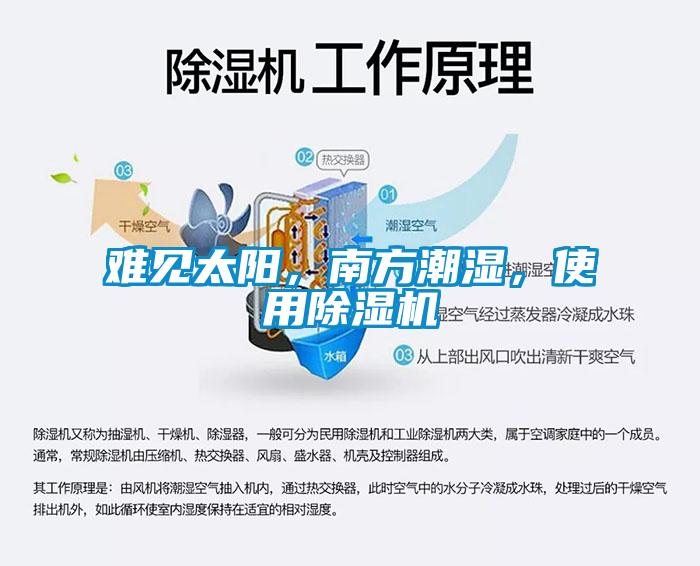 难见太阳，南方潮湿，使用麻豆视频黄网站
