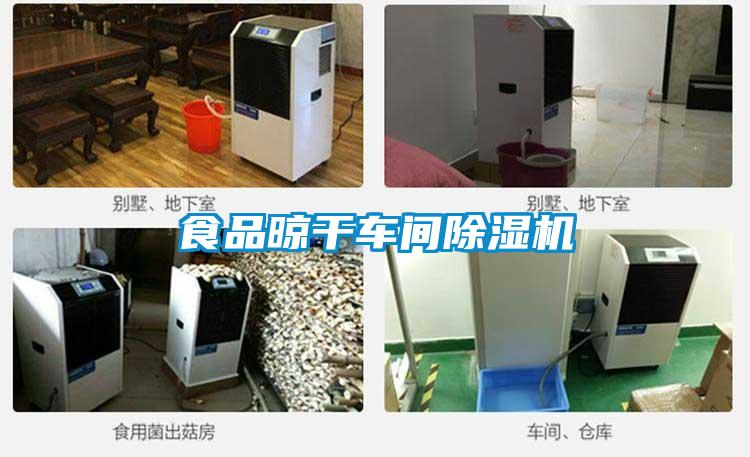 食品晾干车间麻豆视频黄网站