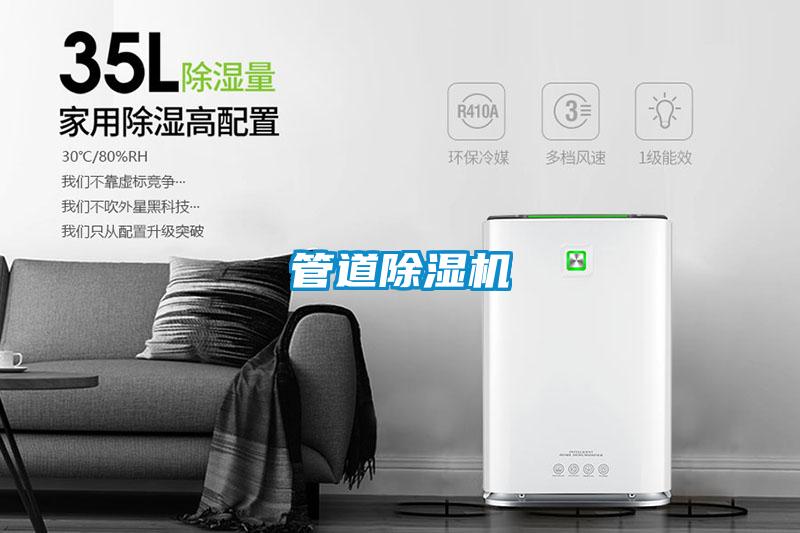 管道麻豆视频黄网站