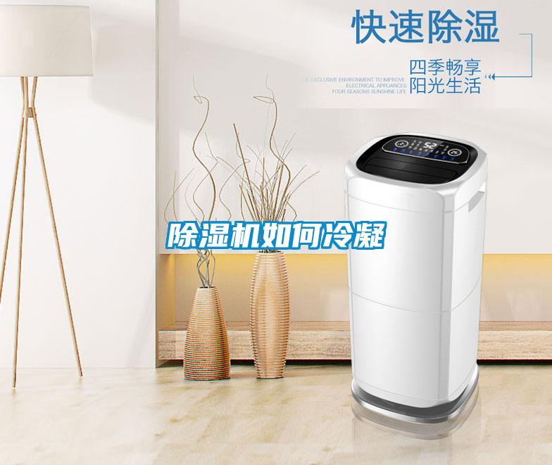 麻豆视频黄网站如何冷凝