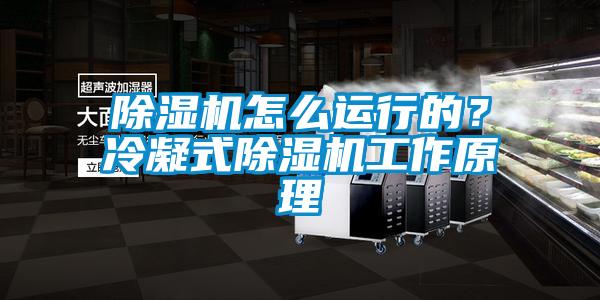 麻豆视频黄网站怎么运行的？冷凝式麻豆视频黄网站工作原理