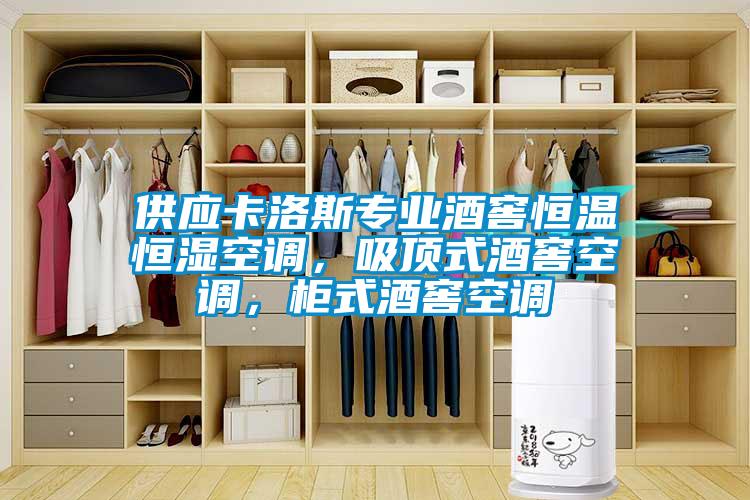 供应卡洛斯专业酒窖恒温恒湿空调，吸顶式酒窖空调，柜式酒窖空调