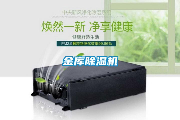 金库麻豆视频黄网站